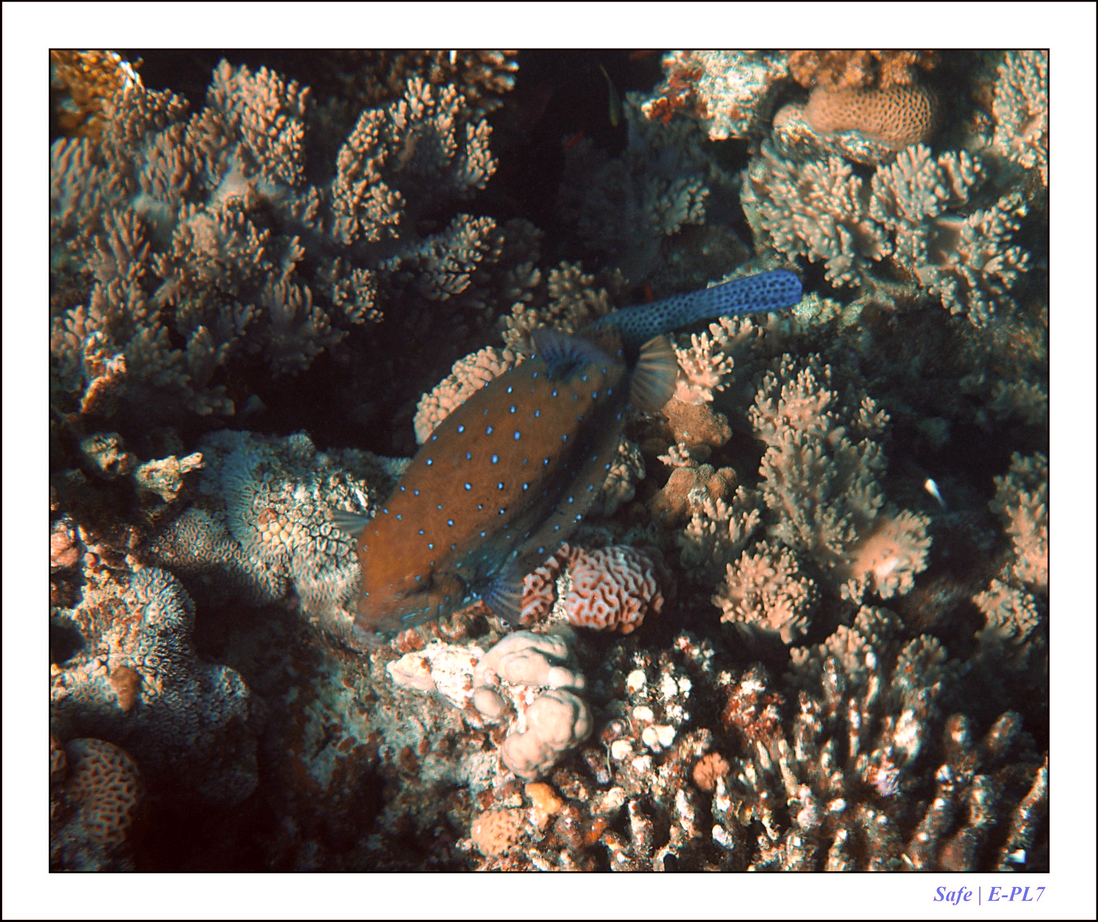 Hurghada - Juillet 2021 - 025